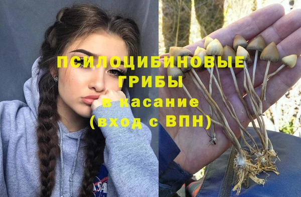скорость Алексин