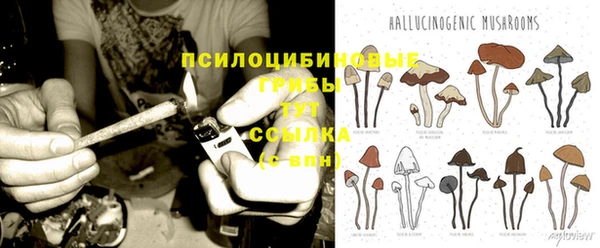 скорость Алексин